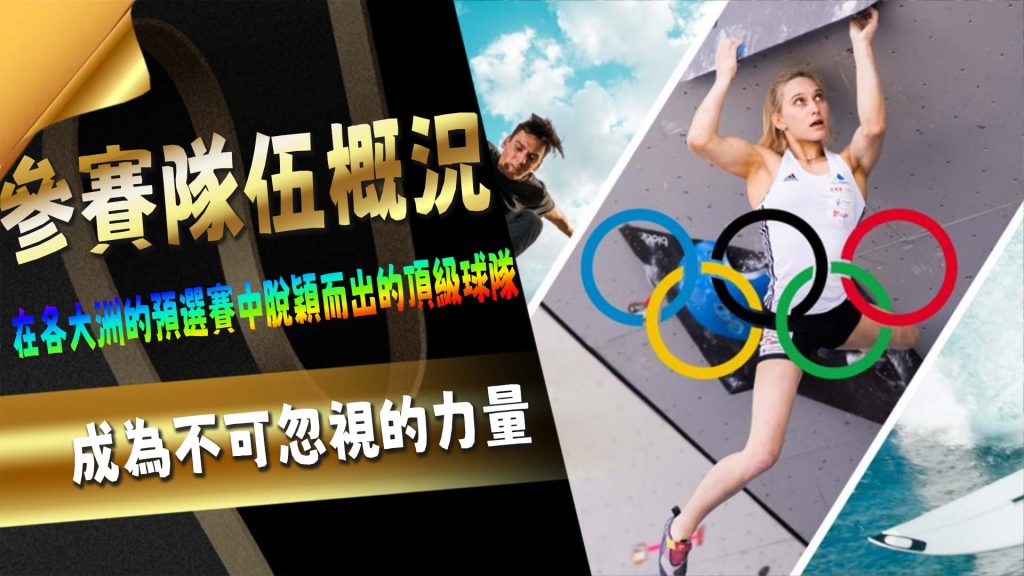 參賽隊伍概況